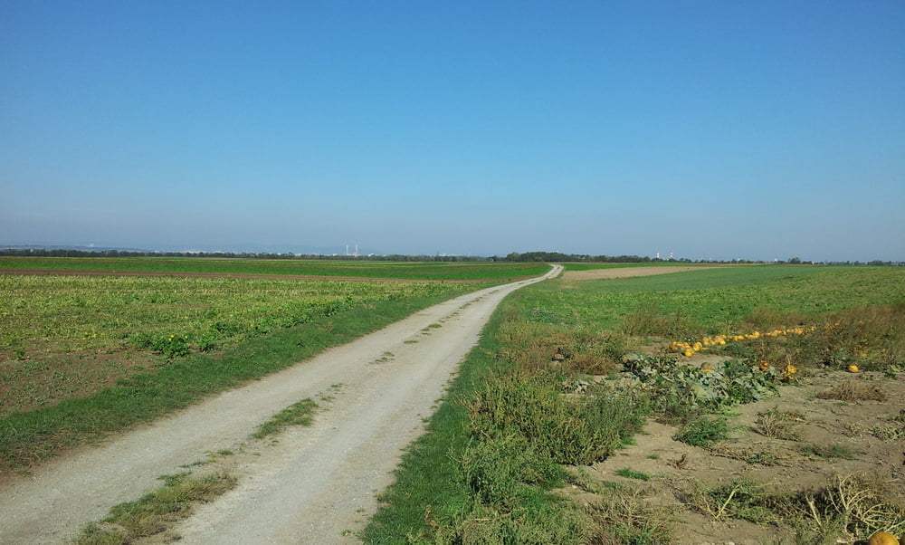 Schwadorf