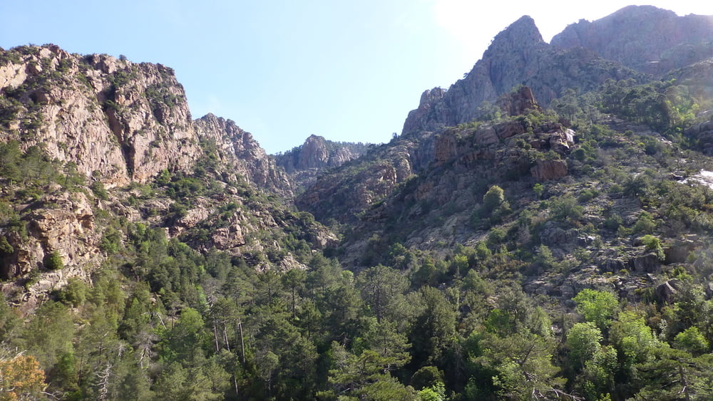 130520a Korsika: Foret de Bonifatu + Spasimata Tal
