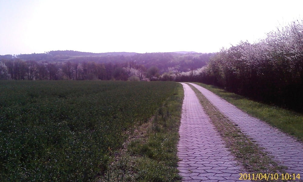 Von Zeil auf die Höhe über Steinbach, an den Main, nach Eltmann,Sand-Hermannsberg und zurück