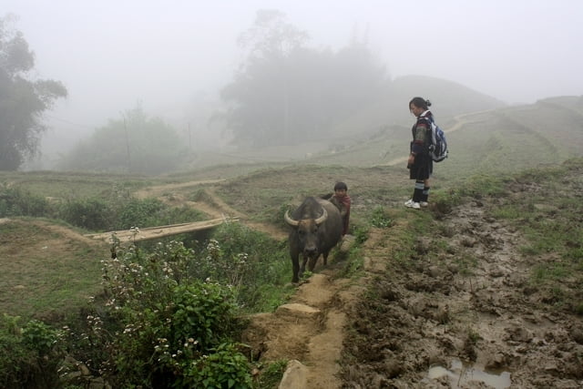 Sapa Trekking