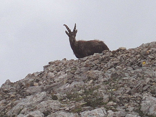 Selle-Costabella (Dolomiti)