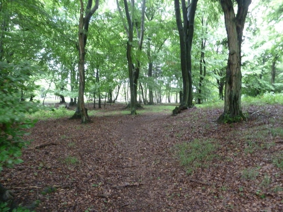 Von Datzeroth an der Wied zu Solscheider Kapelle aus Rother Wanderführer "Westerwald" Nr. 42