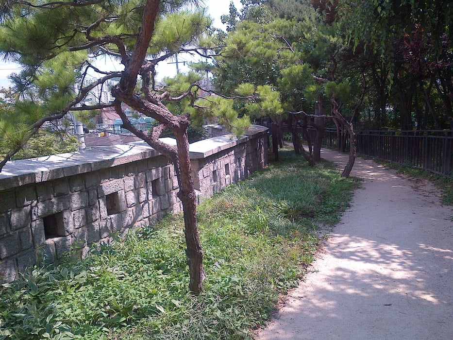 Typical path along the wall