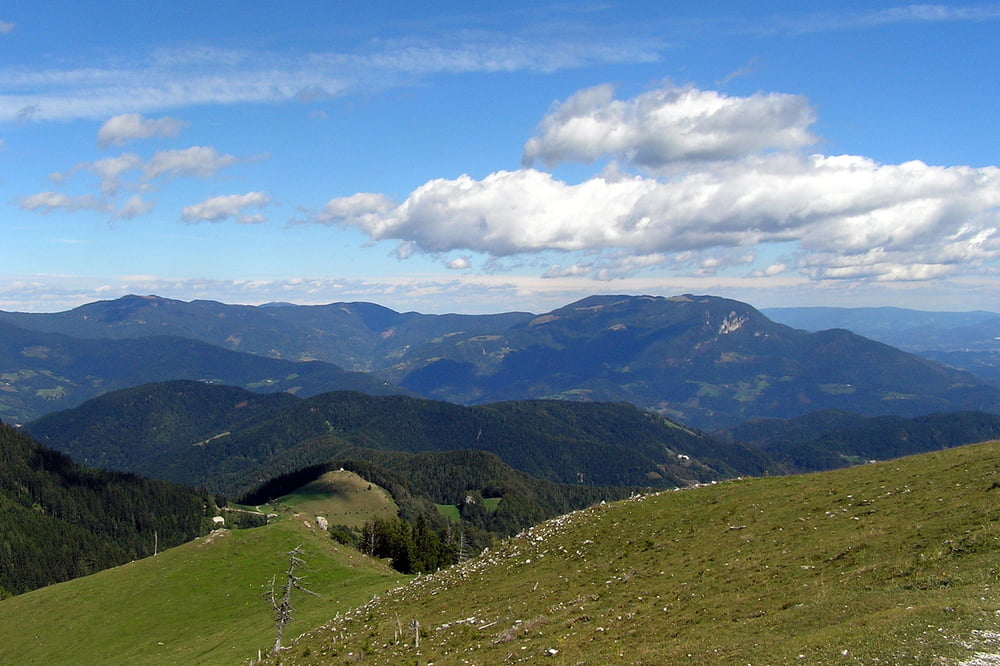 Lepenatka