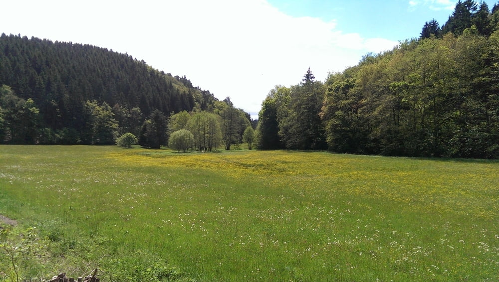 Edertal - Medebach - Eisenberg (Rundfahrt)