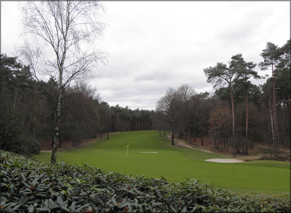 Rondwandeling Asenray - Herkenbosch