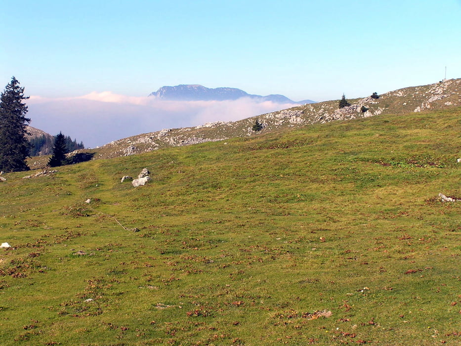 Menina planina