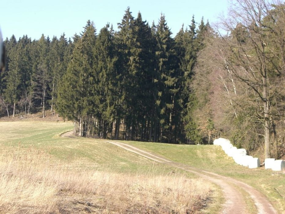 Holzland Biergarten Fischerhans