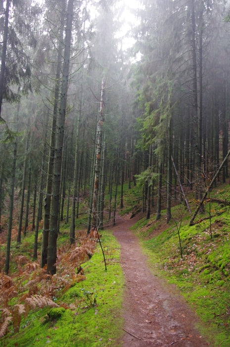 Sonntagsrunde