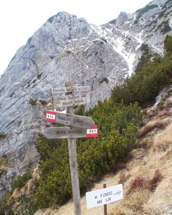 Forc. Intrigòs (M.Pizzocco - Dolomiti)