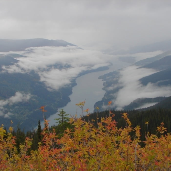 Blick vom Mt. Revelstoke in das Columbia Tal