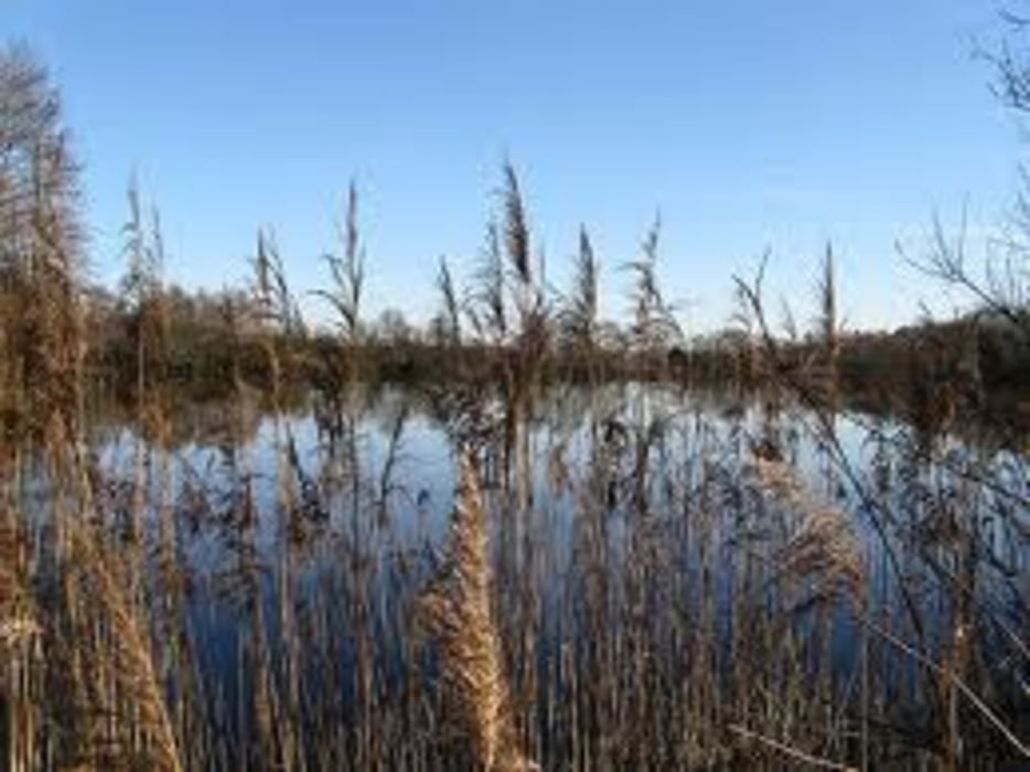 Wolfsburg - Gifhorn - Tankumsee - Wolfsburg