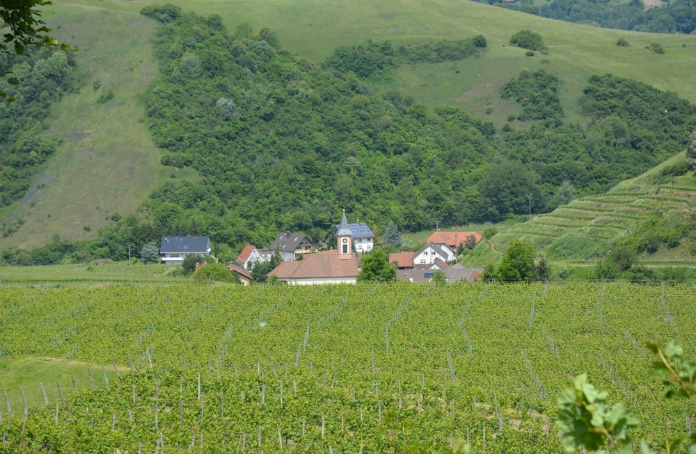 Über den Kaiserstuhl-Hauptkamm