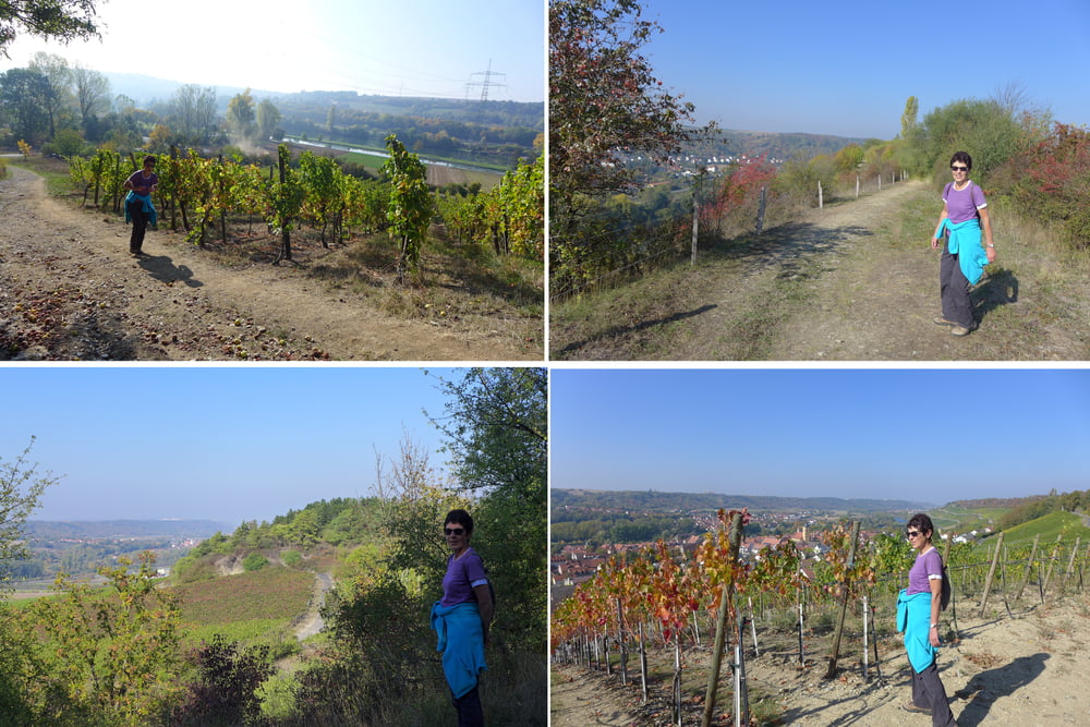 Panoramablicke gen Sommerhausen