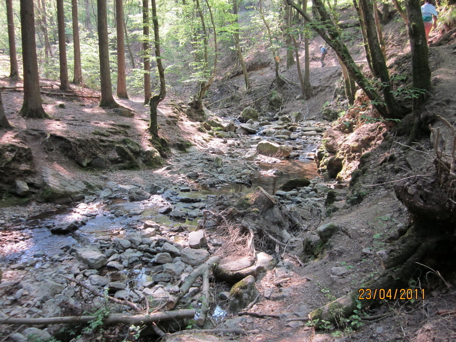 entlang der Wildbäche Ninglinspo und Chefna (Ardennen)