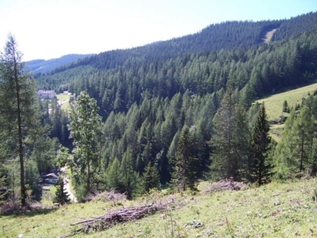 Veitsch - Brunnalm - Panoramaweg