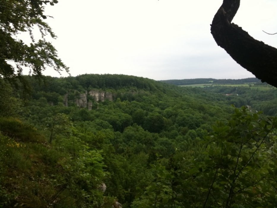 in die "Fränkische" von Bamberg