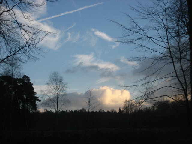 Ratinger Wald