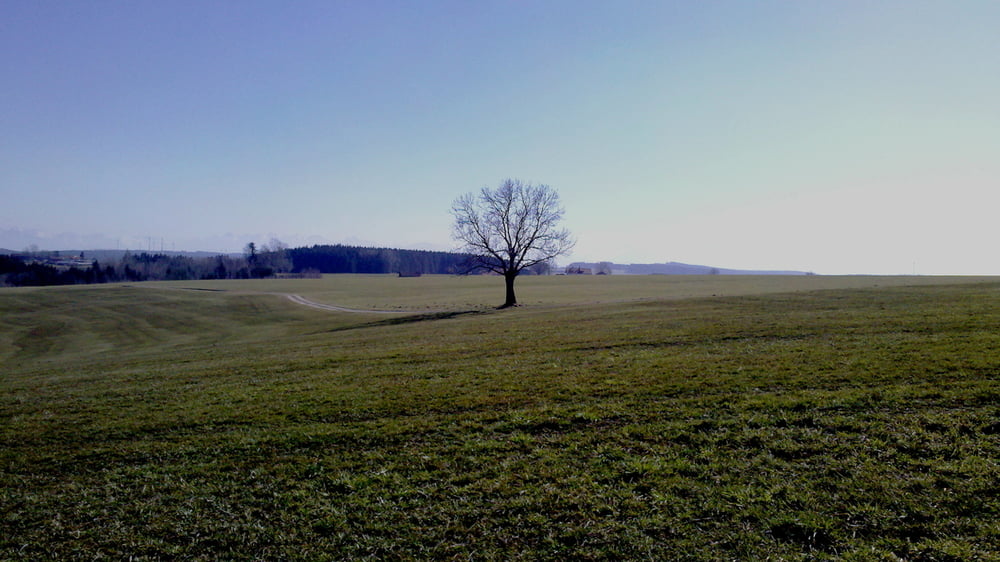 Winterende bei Obergünzburg