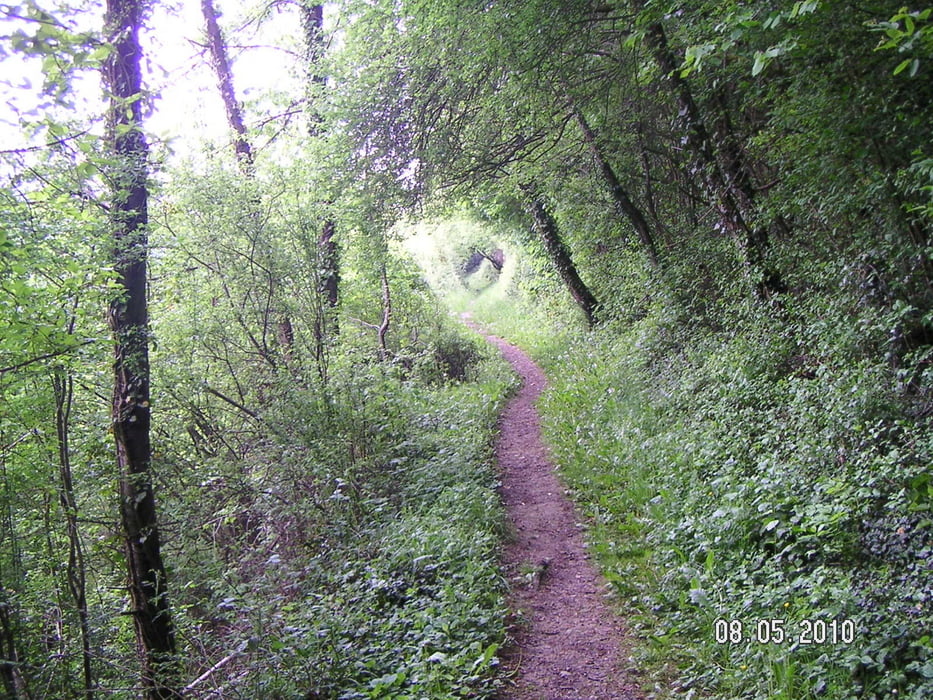 Deutsch-Luxemburgischer Felsenweg, blaue Route