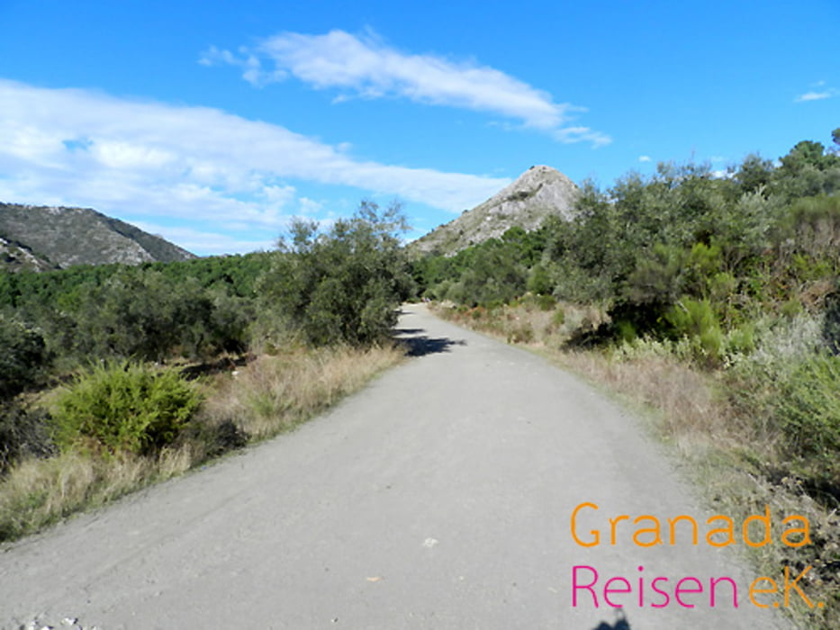 Wandern im Hinterland von Marbella