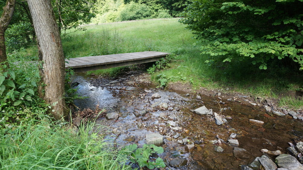 Kleine Runde ab Coenenmühle