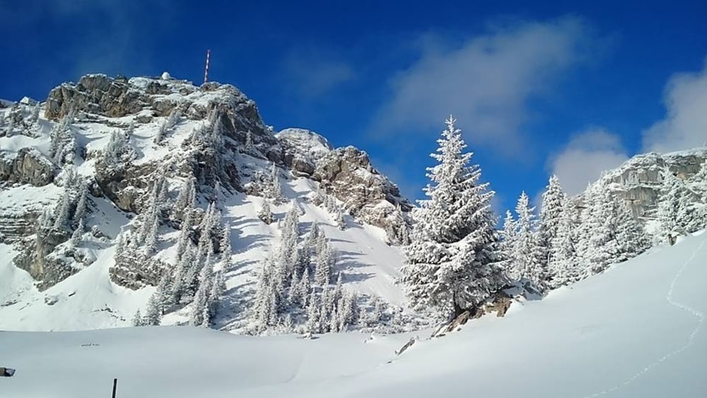 Wendelstein