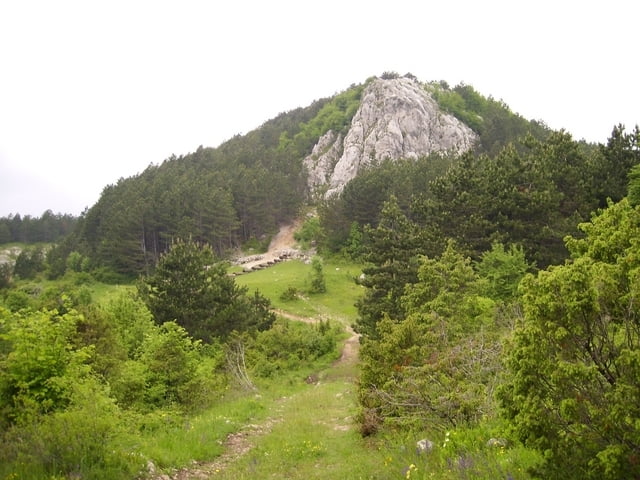 Korita