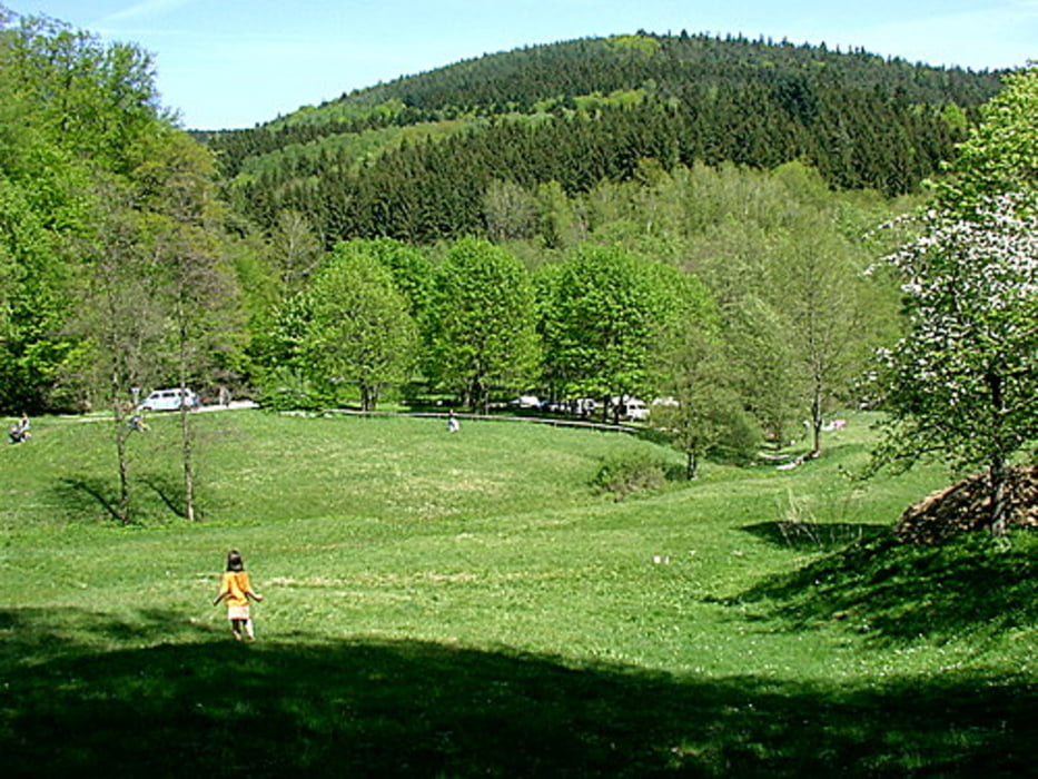 Dossenheim-Waldmichelbach-Weinheim