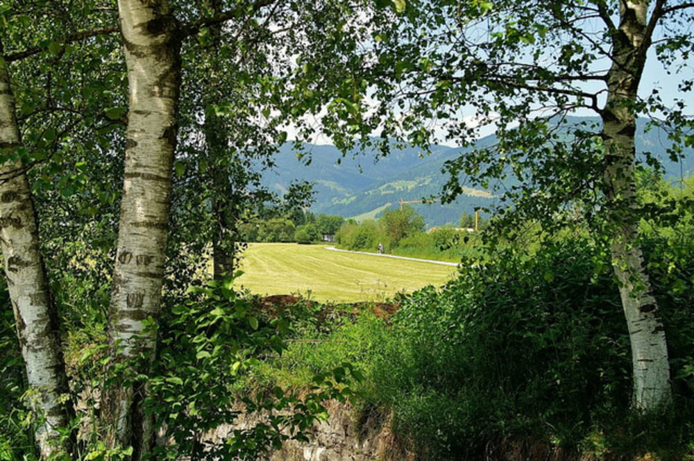 Ennsradweg Flachau - Enns