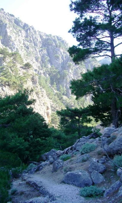 The gorge of Agia Irini