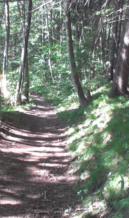 Best of Mangfalltal-Trails