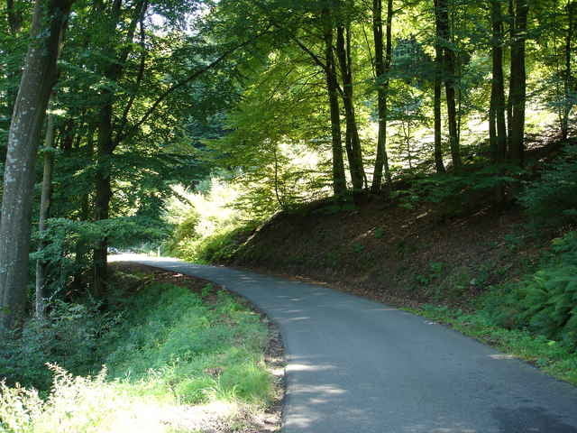 Col du Pfaffenschlick und Col du Goetzenberg