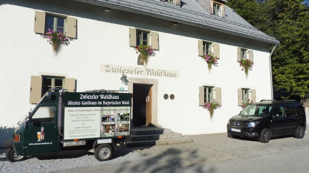 Urwaldtour ab Zwieslerwaldhaus