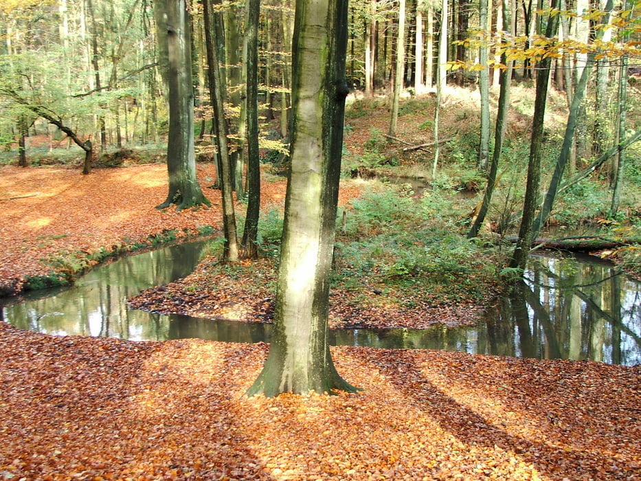 Ruhrgebiet: Kirchheller Heide
