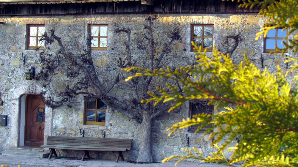 Stadt Salzburg -  Gnigl | entlang des Alterbaches und über Heuberg zurück
