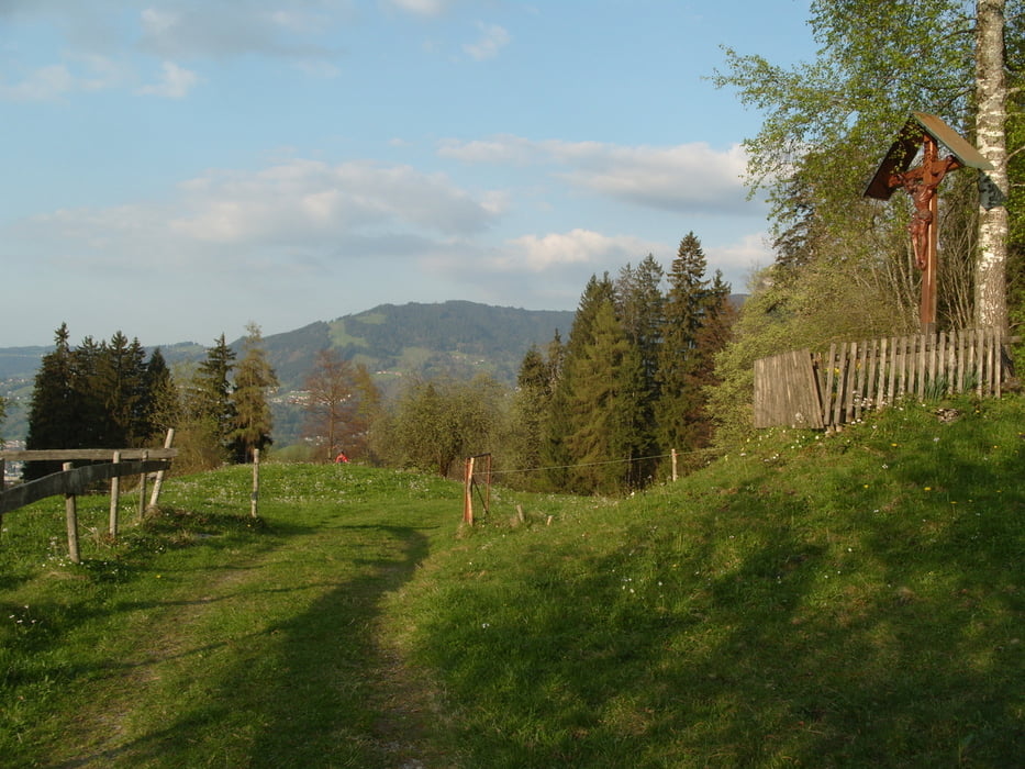 Dornbirn - Rund um den Hohen Staufen / Steckenweg