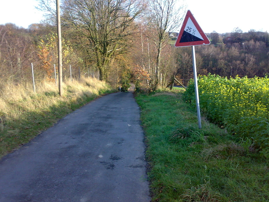 Teutorunde
