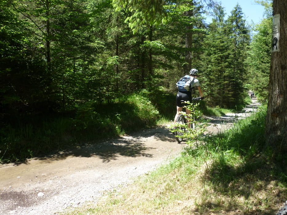 Herzogstandrunde