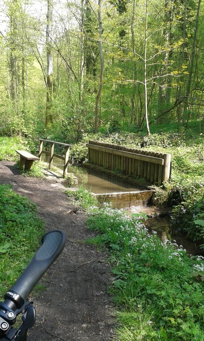Kneippbecken-Pfannwaldsee-Tour