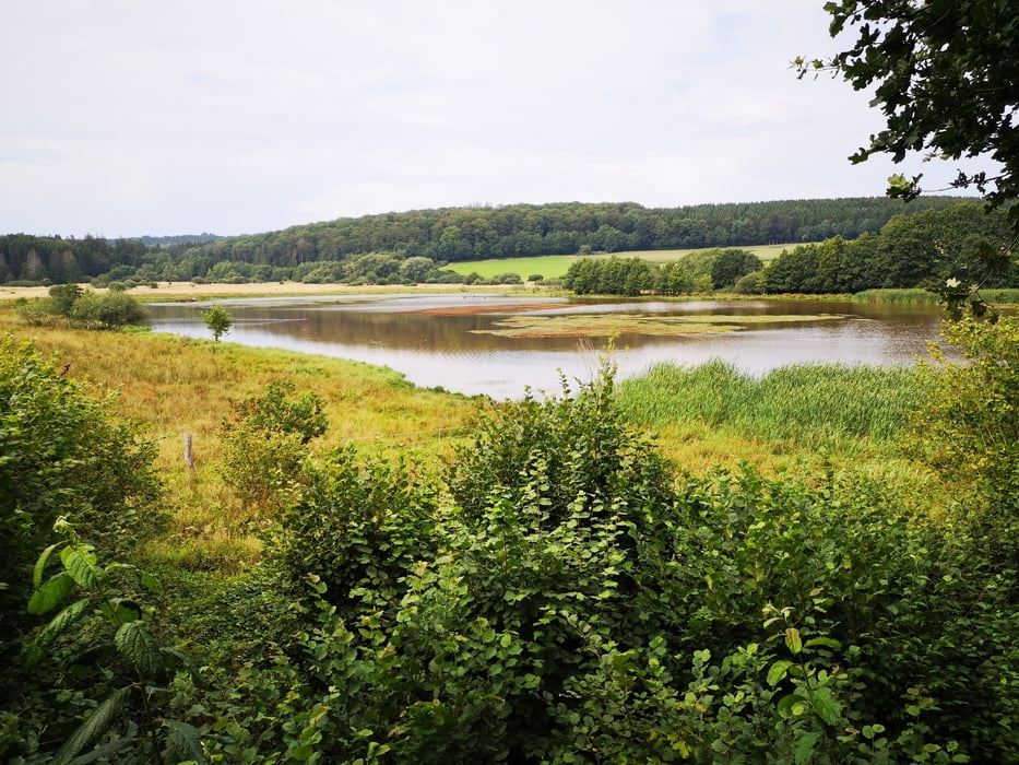 Sangweiher
