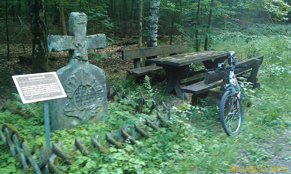 Von Zeil in den Steigerwald zum Rennerkreuz und zurück