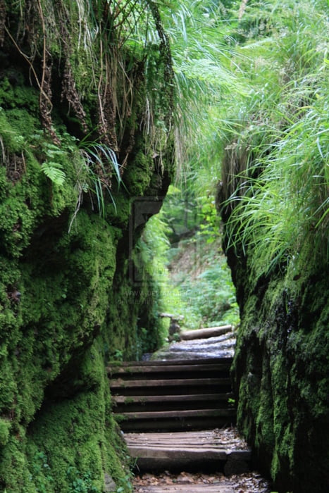 Drachenschlucht & Grotten Tour