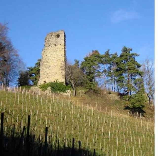 Appenzeller Witzweg