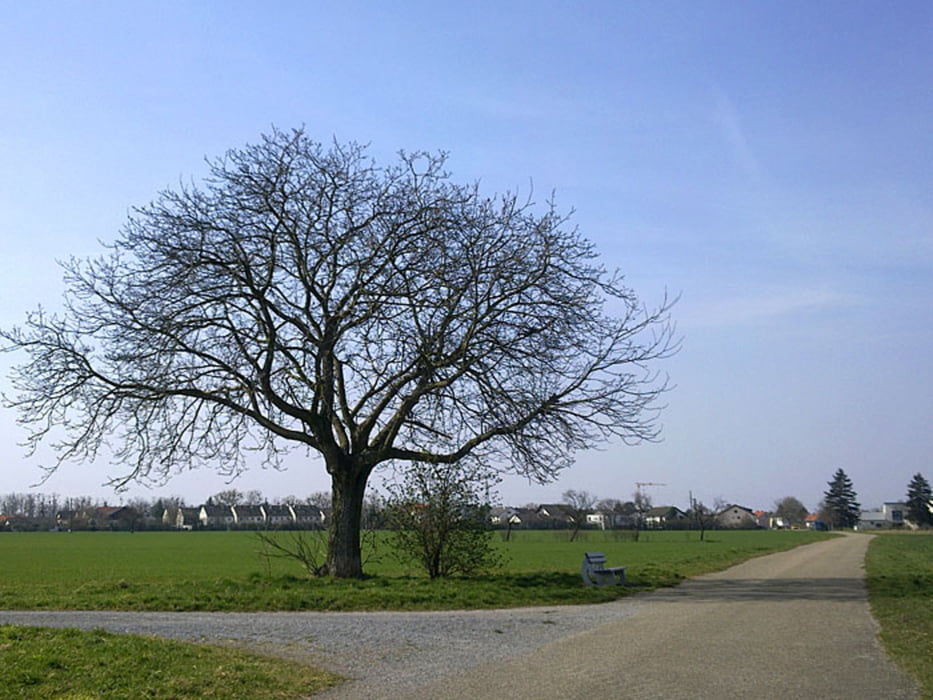 Rund um Karlsruhe