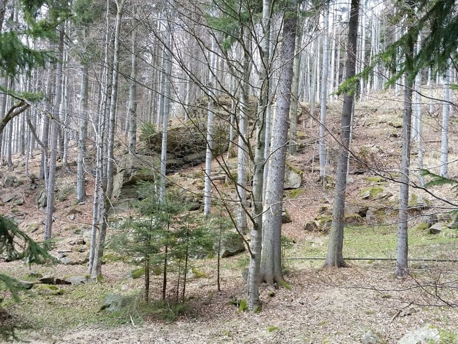 Mnišská skála - Mönchfelsen