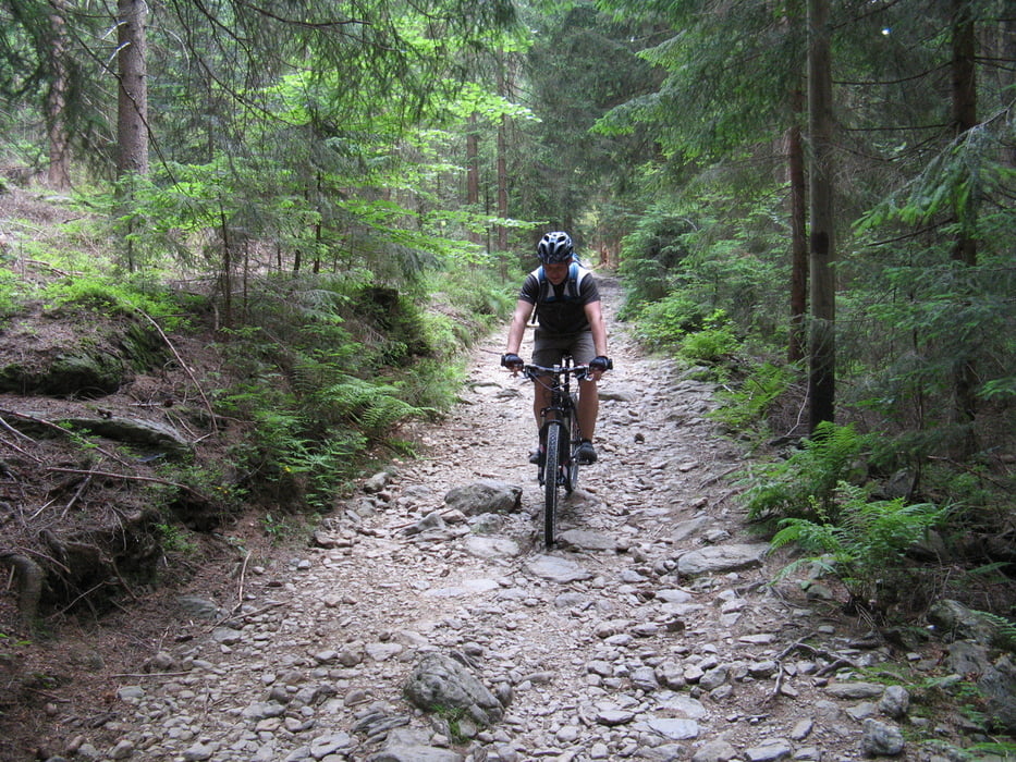 Arberseen und Gipfel Tour ! 