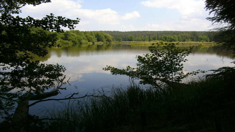 Wandern Franken: Veldensteiner Forst: Wasser,Wald,Wiesen,(Wildschweine)