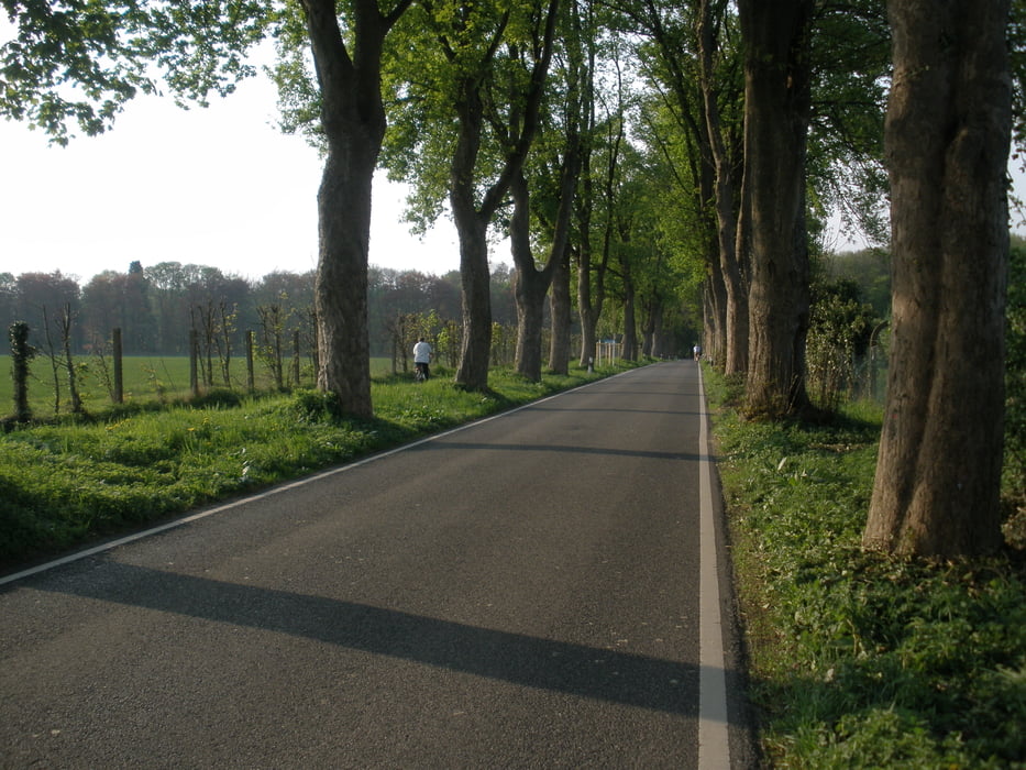 Düsseldorf - Mönchengladbach