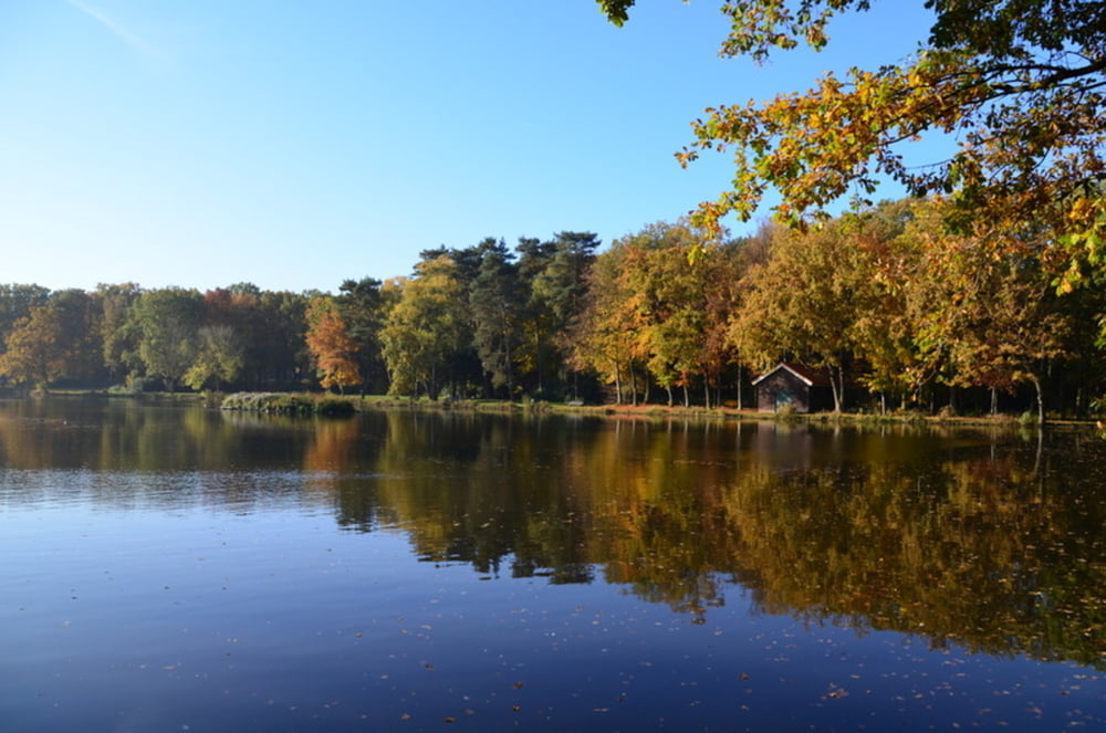 brunssum, vijverpark en schutterspark